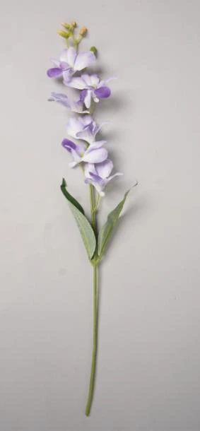 Baby Orchid 3D